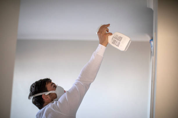 Best Black Mold Removal  in Bath, PA